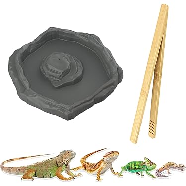 Amazon.co.jp 最新リリース: 爬虫類・両生類用ケース